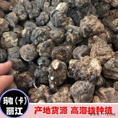 鑫燎三農 麗江瑪卡果 瑪卡行情