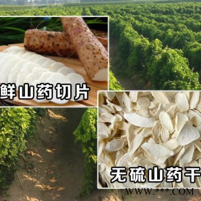 南洋NY 山藥烘干機 麻山藥烘干機 懷山藥烘干機 白山藥烘干機 山藥烘干機價格 山藥烘干機設備