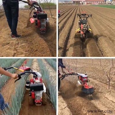 山藥開荒培土機 新型苗圃開溝培土機 手扶式大蔥開溝培土管理機