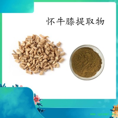 懷牛膝提取物 懷牛膝浸膏粉  可定制 水溶 99%