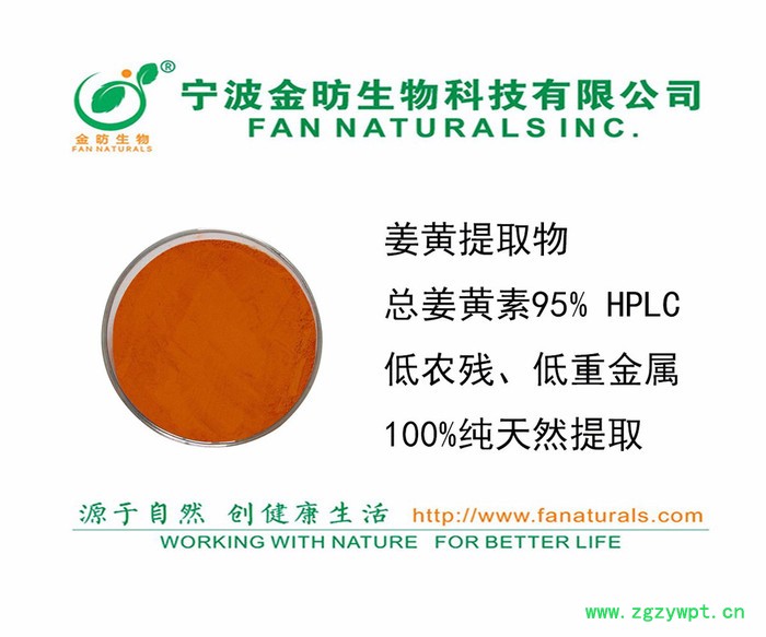 姜黃提取物、姜黃素TURMERIC EXTRACT、CURCUMIN植物原藥材