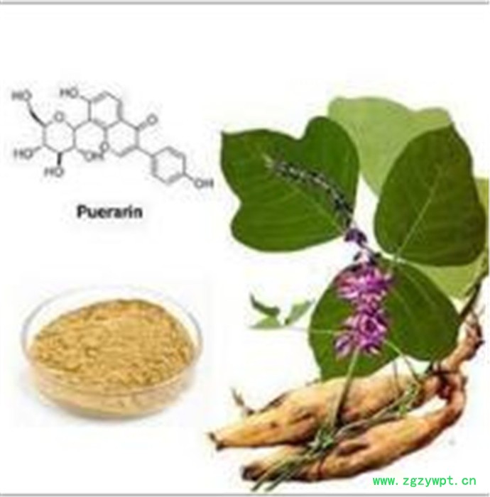 天順 葛根黃銅40%**： 葛根黃銅40% 一公斤起訂 植物提取物 價格優惠