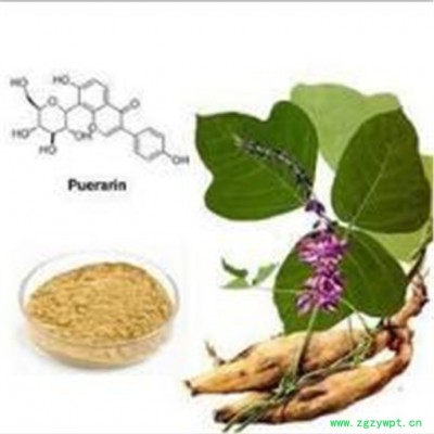 天順 葛根黃銅40%**： 葛根黃銅40% 一公斤起訂 植物提取物 價格優惠