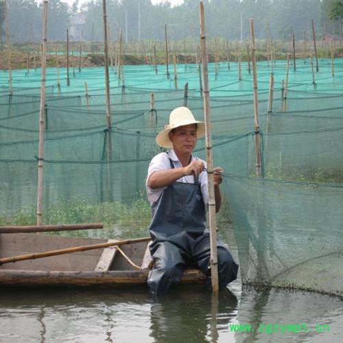 供應養殖網   泥鰍養殖網   水蛭養殖網