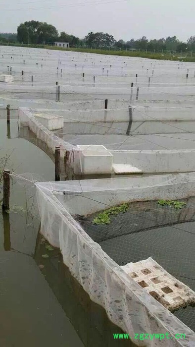 江海漁網       水蛭網箱 水蛭網箱廠家 養殖設備