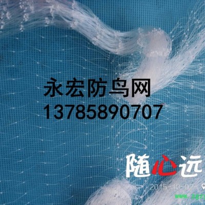 永宏  **  5公分池塘防鳥網(wǎng)  水蛭防鳥網(wǎng)  泥鰍防鳥網(wǎng)  天網(wǎng)抗老化