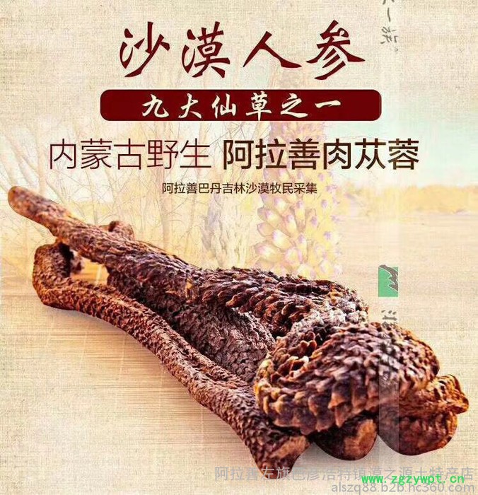 阿拉善肉蓯蓉 油蓯蓉 價格 肉蓯蓉價格 肉蓯蓉功效和作用