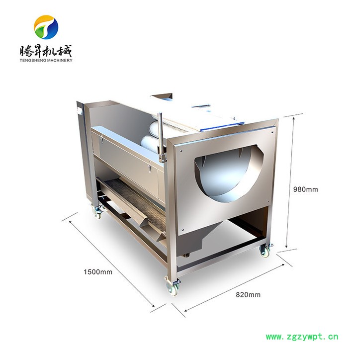 騰昇TS-M600清洗去皮機專場 毛刷式果蔬清洗去皮機 土茯苓/山藥去皮機 廣西天冬去皮機騰昇TS-M600