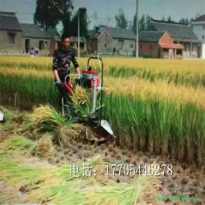 小型收獲機割大豆牧草小麥油菜苜蓿玉米辣椒油菜藥材收割機割曬機