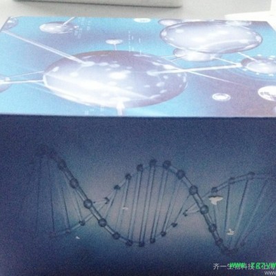 蘇云金芽孢桿菌蛋白(BT)ELISA 試劑盒（免費(fèi)代測(cè)）