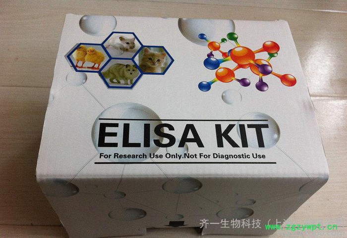 兔子中性粒細(xì)胞彈性蛋白酶(NE)ELISA 試劑盒 國(guó)產(chǎn)EL