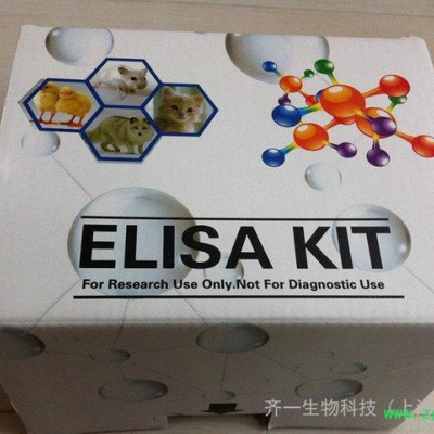 兔子中性粒細(xì)胞彈性蛋白酶(NE)ELISA 試劑盒 國(guó)產(chǎn)EL