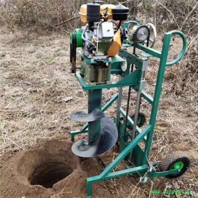 多用植樹挖坑機山坡丘陵鉆坑機汽油打藥機好用嗎