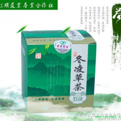 濟世藥業冬凌草茶禮盒裝 冬凌草降火保健茶草藥茶 咽炎養生茶葉