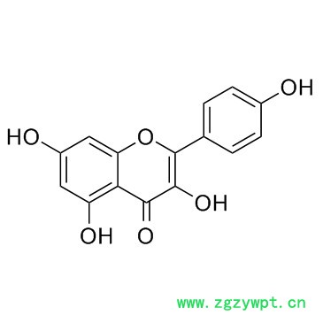 山柰酚98% 槐角提取物 CAS:520-18-3 kaempferol 現(xiàn)貨 10g/袋