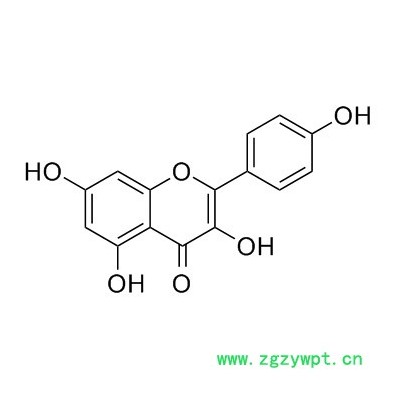 山柰酚98% 槐角提取物 CAS:520-18-3 kaempferol 現(xiàn)貨 10g/袋