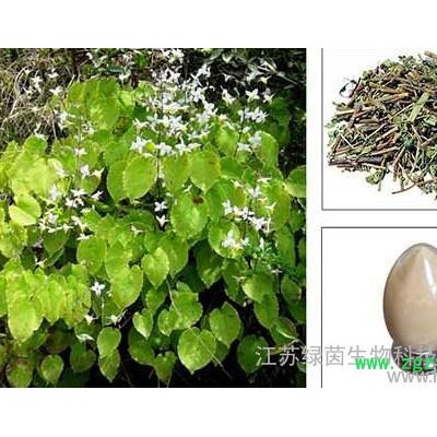 供應(yīng)淫羊藿植物提取物