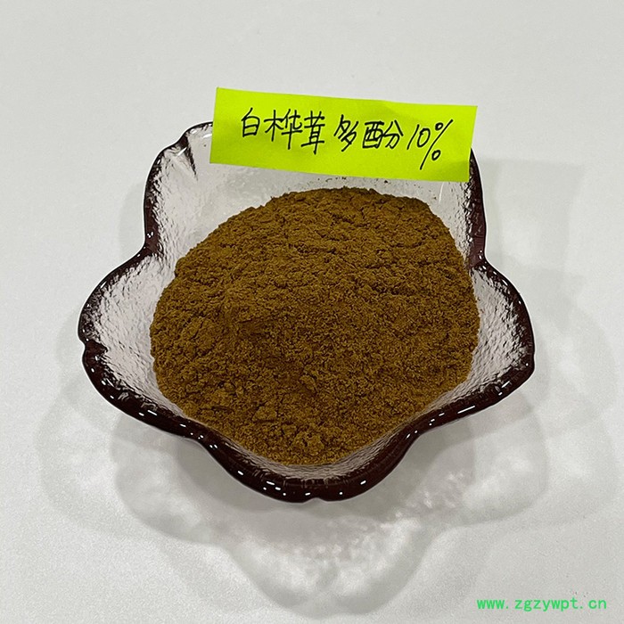 金萃坊廠家現貨供應 白樺茸提取物 白樺茸多酚10% 天然提取物