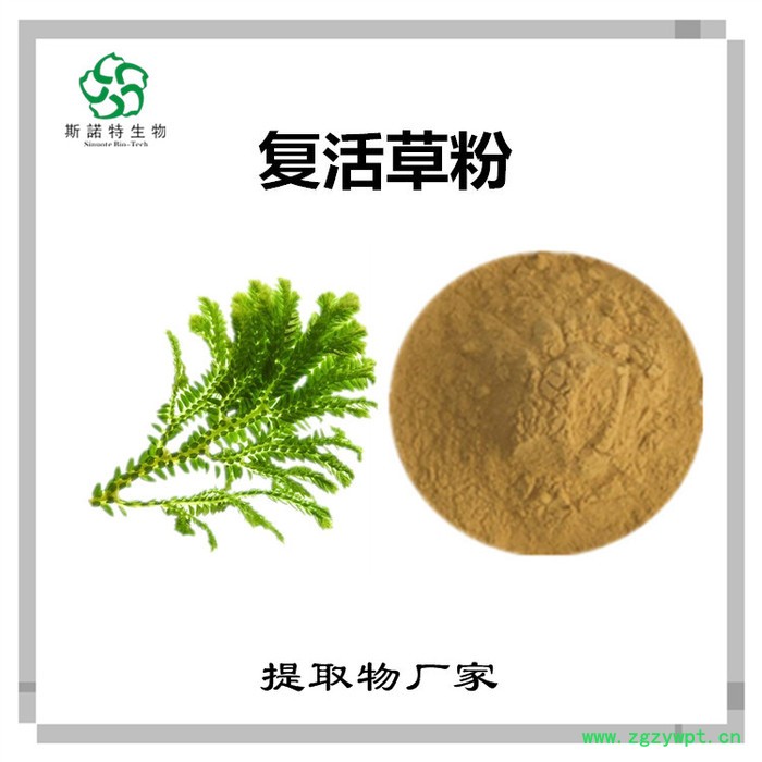 牛黃速溶粉 牛黃濃縮粉 生產廠家 斯諾特