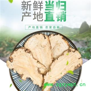 甘肅全當歸片地產直供 優質保證大貨可提供專票