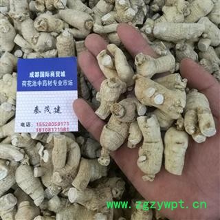 西洋參10克粒頭 西洋參粒頭10g 產(chǎn)地 吉林省白山市撫松縣