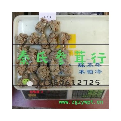 三七22頭 水洗三七 標準22頭春七  水洗 足干 未打蠟 （1斤正好22個）( 下單送量勺 ) 產(chǎn)地直銷 云南省文山壯族苗族自治州文山縣