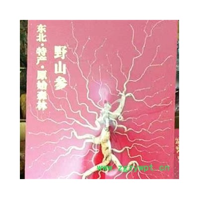 人參 50年野山參，純干，無雜質，產地直供假一賠十 產地 吉林省白山市撫松縣