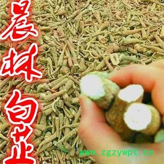 川白芷之遂寧白芷紅皮無硫小統貨 道地白芷 常年有大貨 產地直銷 遂寧市船山區