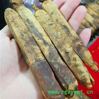 高麗參 單只壓塊 無糖黃皮高麗參，200克起售，買送禮盒