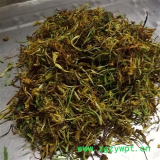 金銀花開花統(tǒng)貨 產地 廣西壯族自治區(qū)南寧市上林縣 馬上縣