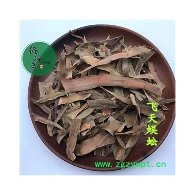 飛天蜈蚣 蜈蚣草 石上蜈蚣 落地蜈蚣 百足草 統(tǒng)貨 產(chǎn)地 廣西壯族自治區(qū)