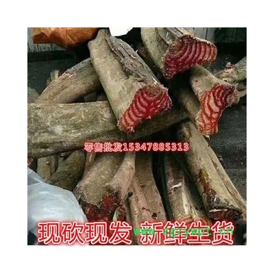 新鮮雞血藤 野生生品雞血藤 網狀雞血藤 整條砍砍藥 根子藥 跑江湖 地攤藥