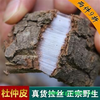 杜仲皮野生老樹厚皮1000g秦嶺源產地杜仲