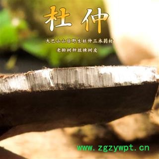 杜仲 杜仲統(tǒng)塊 手工片 產(chǎn)地 重慶市縣巫山縣