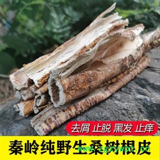 桑白皮1000克 秦嶺野生桑樹根皮老桑皮中藥材桑樹皮桑樹皮洗頭去屑