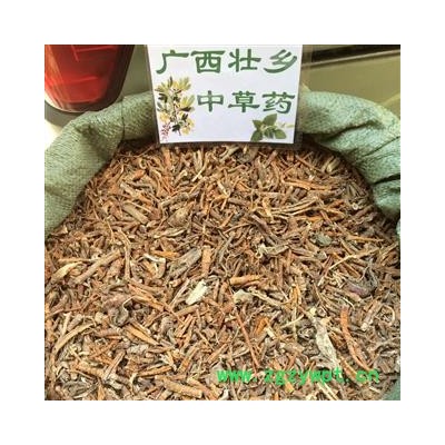 廣西壯鄉中草藥 無硫 桑白皮 桑根白皮 桑根皮 桑皮 產地 廣西柳州