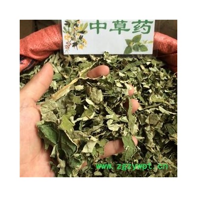 廣西壯鄉中草藥 荷葉 荷葉統絲 新貨 產地 廣西柳州