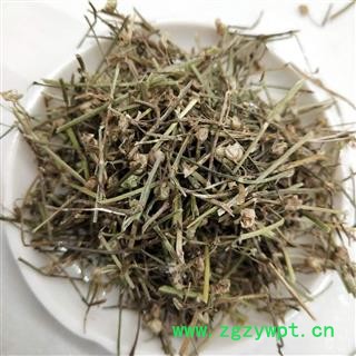 白花舌草 白花蛇草家種統貨 產地 河南省