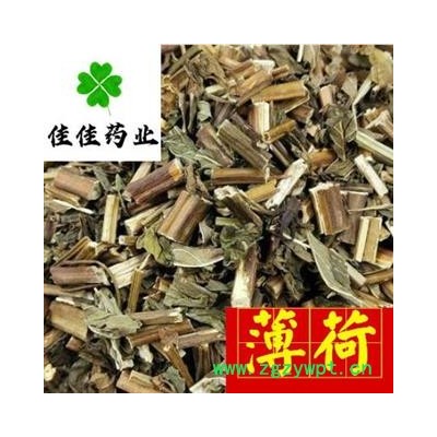 薄荷 凈貨 味道好 發貨前篩沫子 產地 山東省 【供應各類中藥材】薄荷 藥材薄荷