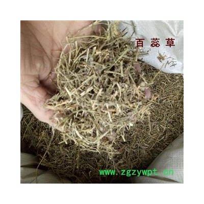 煜庭藥業(yè) 百蕊草 百乳草 小草 細(xì)須草 青龍草