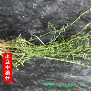 百蕊草 百蕊草統貨 產地 河南省南陽市