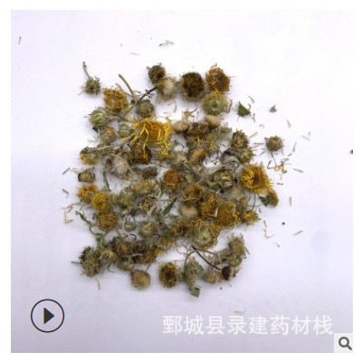 批發零售常用中藥材 無硫熏 旋復花 500g 產地山東錄建藥業旋復花