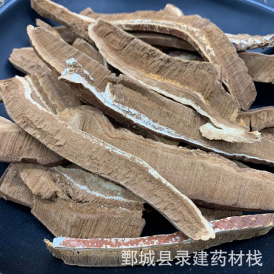 靈芝 東北靈芝片 一件起批 錄建藥業供應無硫常用中藥材花草茶