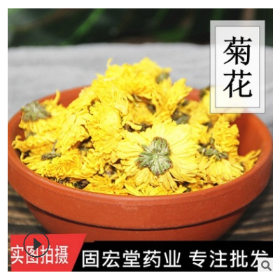 中藥材菊花菊花茶黃菊花500克可搭配枸杞?jīng)Q明子一件代發(fā)量大從優(yōu)