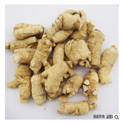 中藥材參茸 批發 國產 硬質 西洋參 獅子頭 15g /段量大從優