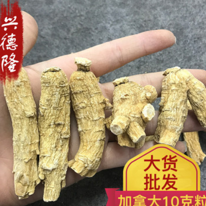 加拿大西洋參段短粒頭 10克統粒 花旗參圓粒頭統貨可切片規格全