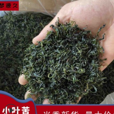 2021新貨小葉苦丁茶 嫩芽毛冬青 散裝青山綠水花草茶量大從優