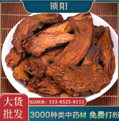 一手貨源鎖陽(yáng)片中藥材批發(fā)鎖陽(yáng)泡酒料各種規(guī)格量大從優(yōu)鎖陽(yáng)可代發(fā)