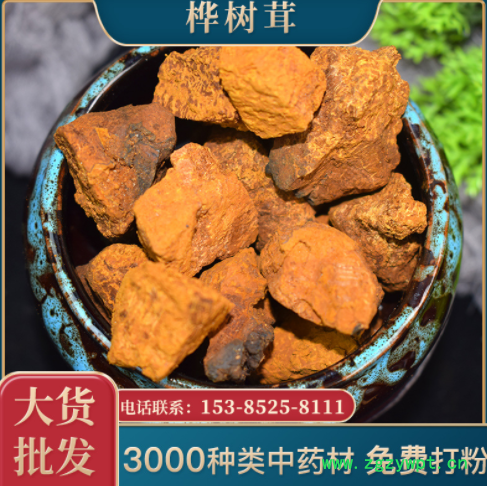 一手貨源樺樹(shù)茸白樺茸顆粒批發(fā)食用菌類樺樹(shù)黃靈芝樺樹(shù)淚量大價(jià)優(yōu)