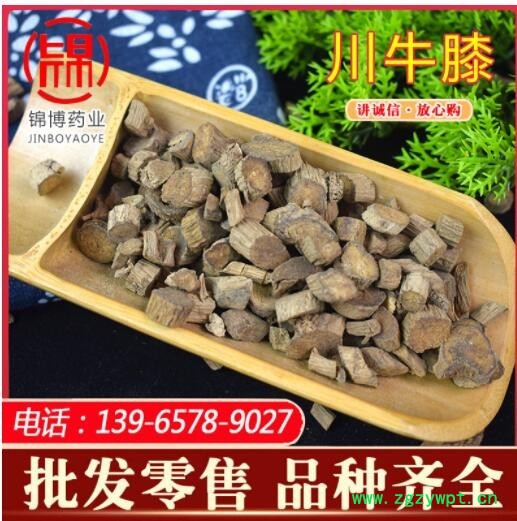 四川產(chǎn)地川牛膝 拐牛膝 肉牛膝片散裝批發(fā) 各種中藥材供應(yīng)接大貨